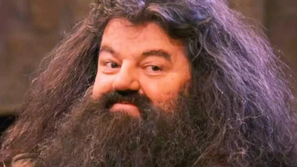 Hagrid dans Harry potter