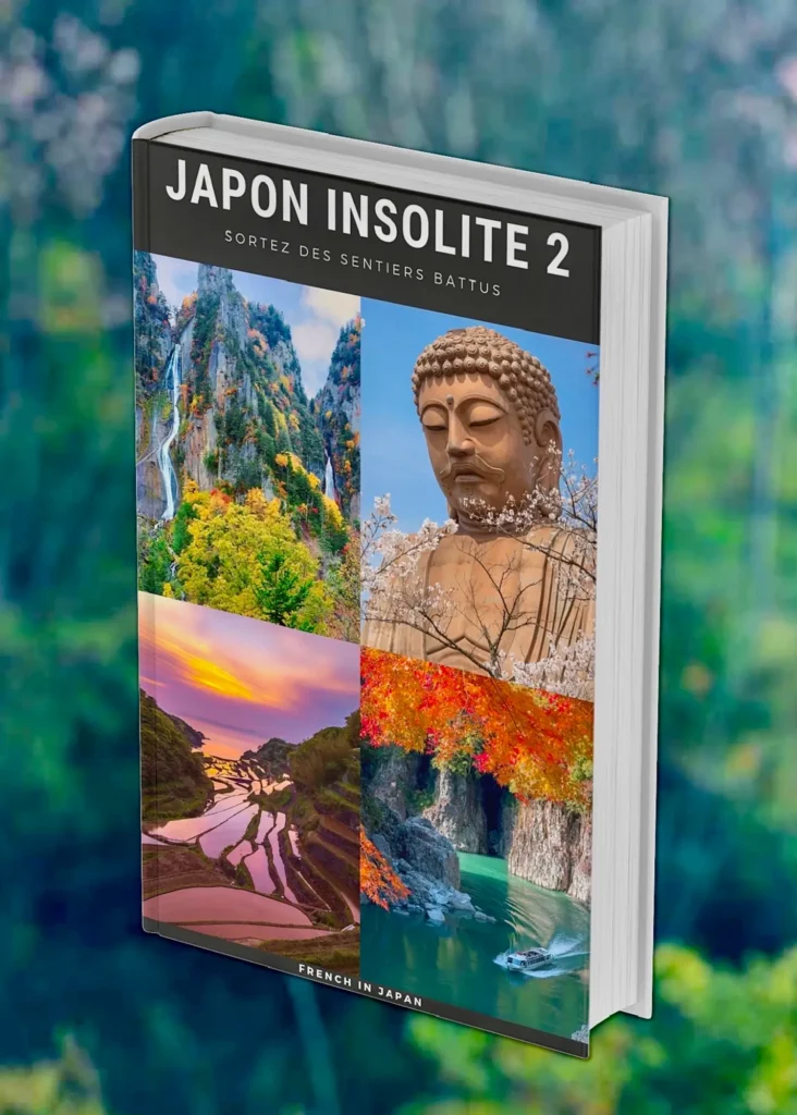 Livre japon insolite french in japan