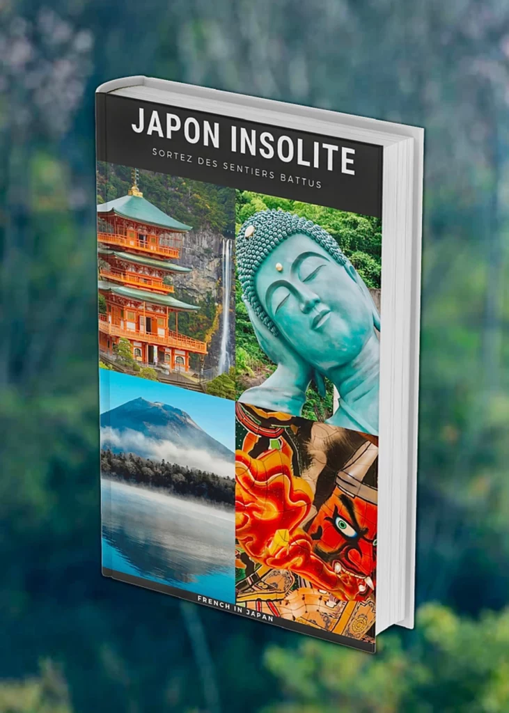 Livre japon insolite french in japan