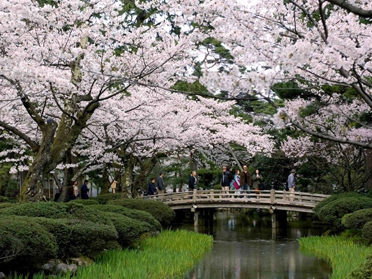 Le Jardin Kenroku-en au japon