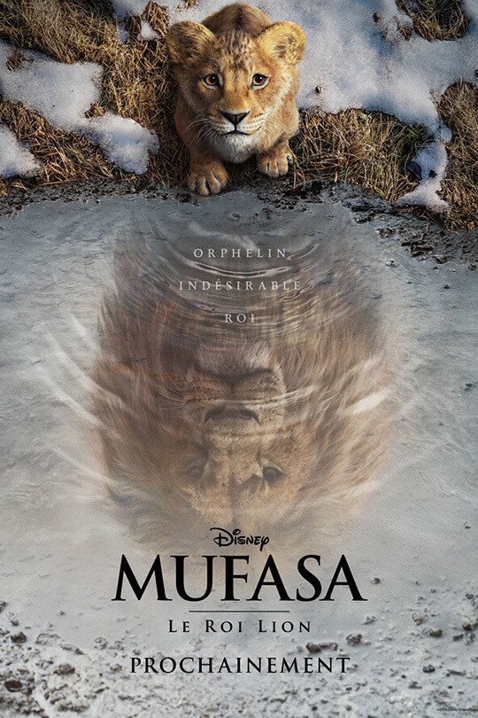 Mufasa : le roi lion