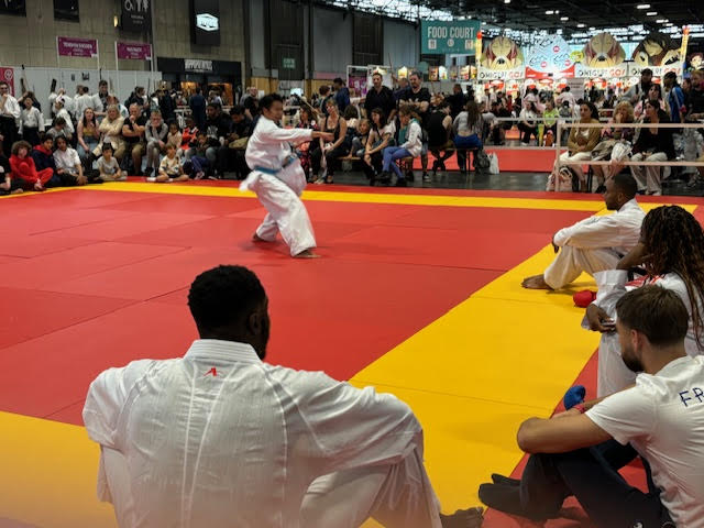 karatékas professionnels à la Japan expo 2024