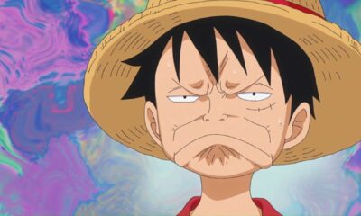 One Piece Pause