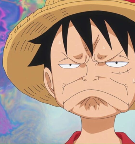 One Piece Pause