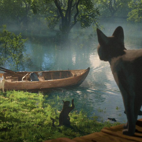 Flow – Le Film d’Animation Surprenant de 2024 !