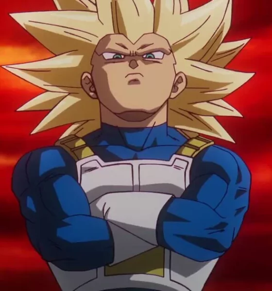 vegeta ssj3 - ultra vegeta 1