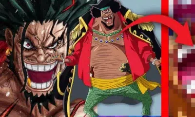 Barbe noire xebec baggy