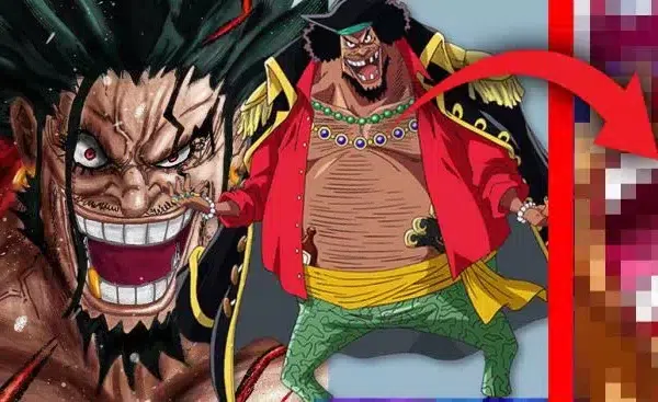 Barbe noire xebec baggy