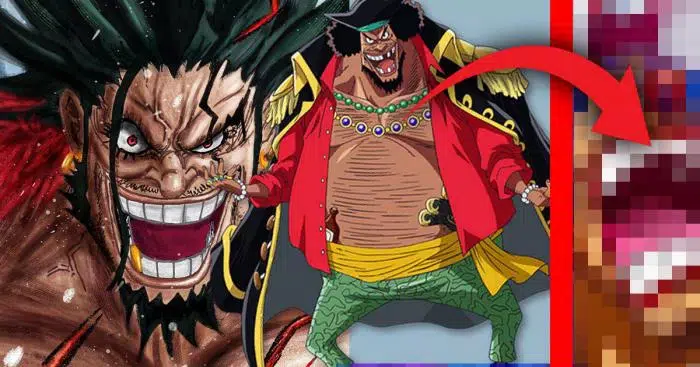 Barbe noire xebec baggy