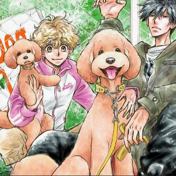 Dog signal – Un manga qui a du chien !