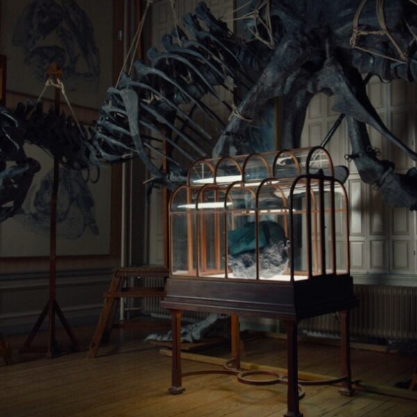 Un sac à main en « cuir de T. rex » bientôt mis aux enchères : la mode entre dans l’ère jurassique